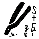 ストレートパーマ